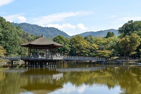 Lake Biwa Shirahige Shrine and Ukimido Day Tour from Osaka, Kyoto