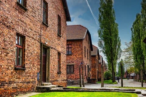 Cracovia : tour guidato di Auschwitz e Birkenau