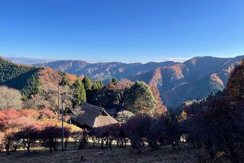Discover Tokyo's Mountain Roots: History, Culture & Nature