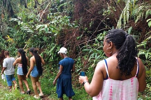 Blue Mountain Sightseeing & Nature Trail Escursione con guida privata