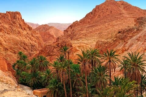 Fordyp deg i 4 dager i Serenity of Southern Tunisia