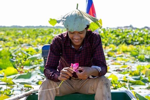 Siem Reap : Granja de seda de loto - Tour, inmersión en el lago y artesano