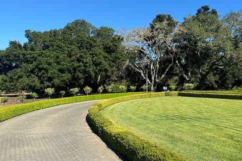 Napa Valley Lyxiga vinturer och biltjänster