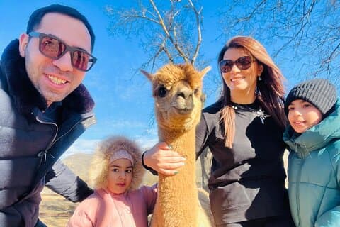 Alpaca farm in Shemakha