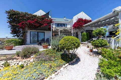 3 Tage Westküstensafari & Abenteuer in Paternoster ab Kapstadt