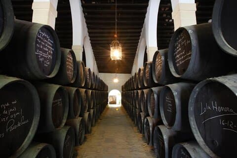 Besichtigung des Weinguts Jerez und Weinprobe