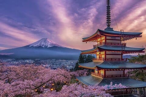 Mt.Fuji and Hakone Private Tour With Guide
