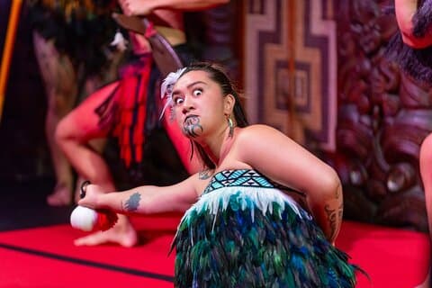 Motivi del trattato di Waitangi: pass combinato (Hāngī + concerto + ingresso)