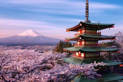 Mt.Fuji Private SightSeeing Day Tour With Guide (From Tokyo)