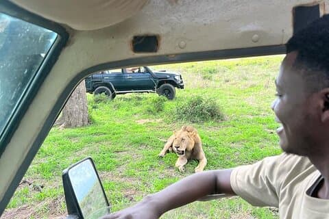 1. Dagssafari till Mikumi med tåg från dar es salaam