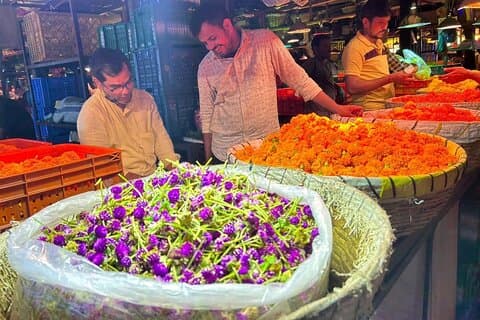 Mumbai Morgonmarknad Tour av blommor, fisk och mer
