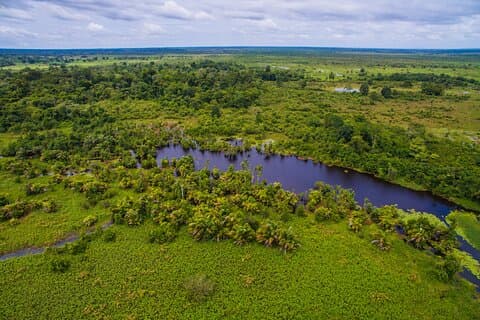 Caño Blanco Nature Sanctuary by Boat