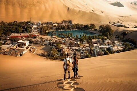 Heldags guidet tur til Ballestas Island og Huacachina Oasis