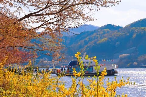 Dagstur til Nami Island med jernbanesykkel og The Garden of Morning Calm