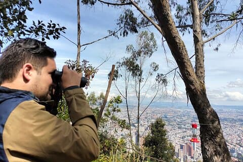 Observación de aves en Monserrate Bogotá 4H