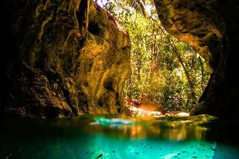 Green Grato Caves en Dunns River Falls met privévervoer