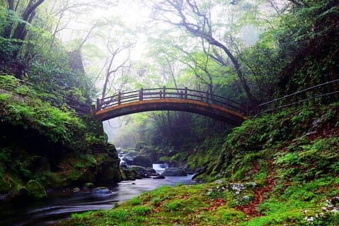 Takachiho Gorge & Ancient Shrines Day Trip from Fukuoka