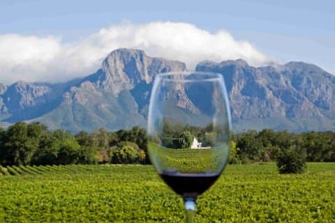 Cape Point og Groot Constantia privat tur med vinsmagning
