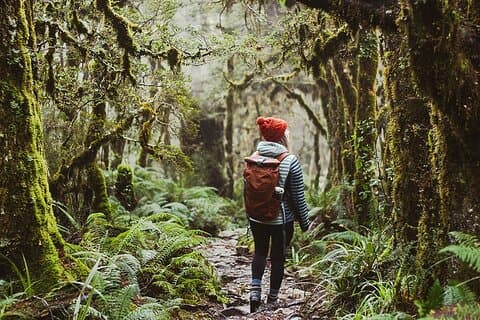 Lake Marian Guided Hike with Transfers, Lunch & Morning Tea