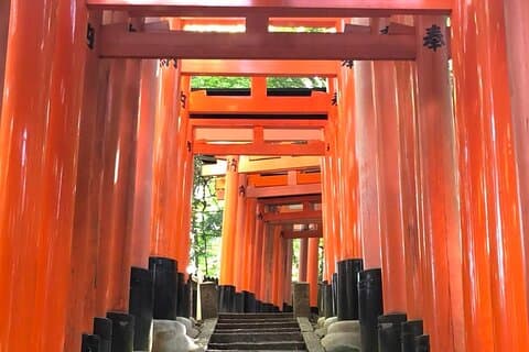 【Santuário de Fushimi inari】 Um local nascido em Kyoto compartilha o caminho secreto dos turistas