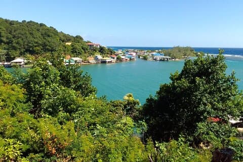 Bradipi e scimmie Roatan Island e Beach Break privato