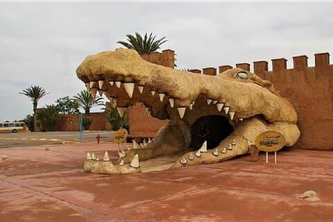 Croco Park Safari Adventure with Convenient Transfers – Agadir