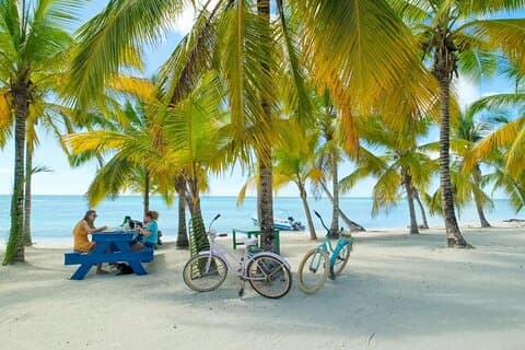 Punta Cana: Saona Island Catamaran Open Bar / Food Hotel Pickup