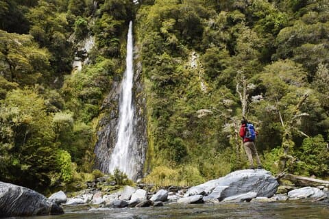 Wanaka to Franz Josef Small-Group Tour (One Way) Includes Lunch
