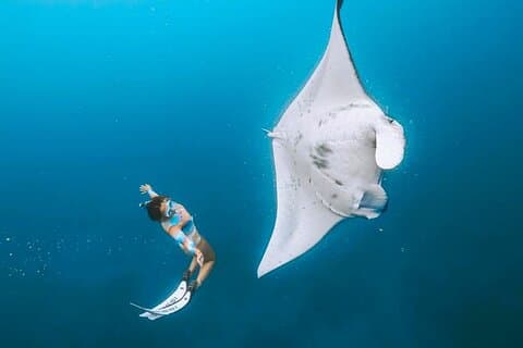 Excursão de um dia para mergulho com snorkel em Manta Point e ilha oeste de Nusa Penida