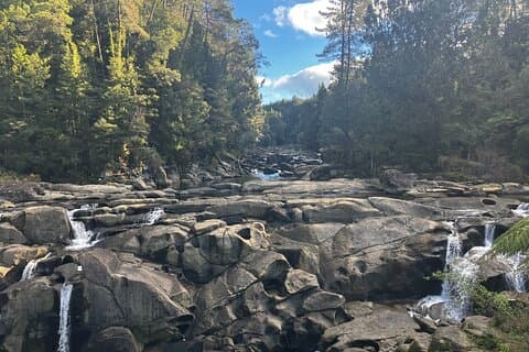 Scenic Short Hike Tour - McLaren Falls and Puketoki Reserve