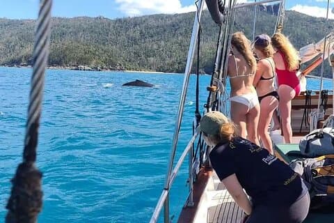 Hotell i nærheten av Providence Whitehaven Beach Sailing and Snorkeling Cruise