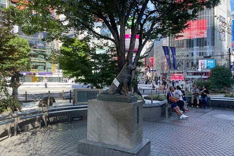 Tokio Shibuya en hoogtepunten Privé hardlooptour