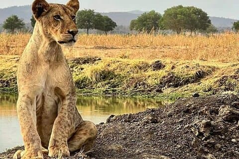 2 Tage Abenteuer im Ruaha Nationalpark