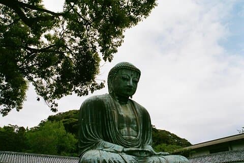 Excursão privada de dia inteiro para Kamakura em veículo de luxo