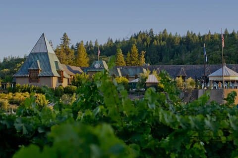 Healdsburg 6 Hour Private Wine Tour Feat. Coppola Winery, holds 4