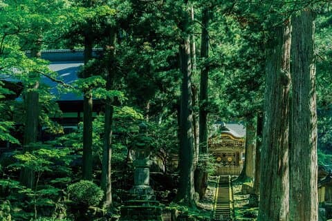 Excursion privée de 6 jours en MINIBUS à Kyoto via Fukui au départ de Fukuoka