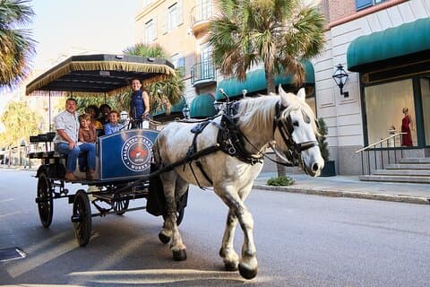 Visite de Charleston en calèche : Explorez le quartier historique de Charleston