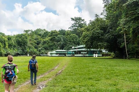 Bahnhof Corcovado Sirena Von Puerto Jimenez Mit dem Boot ALLES INKLUSIVE