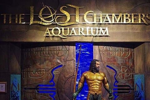 Dubai Lost Chamber Aquarium Atlantis Ticket wth optional transfer