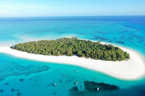 Mnemba Island Snorkeling and Swim with Dolphin