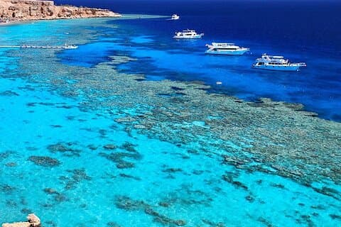 Ras Mohamed & White Island Duiken & snorkelen – Sharm El Sheikh