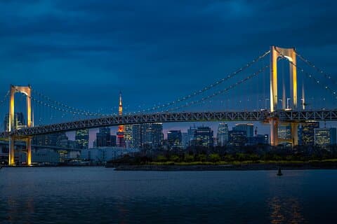 Tokyo Highlights Tour privado de dia inteiro da cidade com um guia inglês