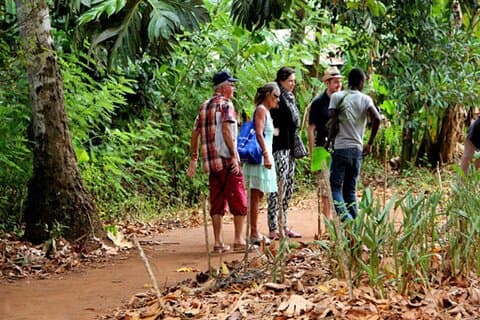 Visite de la forêt de Jozani et de la ferme d'épices à Zanzibar