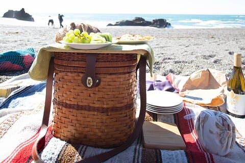 Hidden Sonoma County: Redwoods, Cheese, Coast, and Artisan Picnic