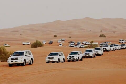Dubai: Half-Day Desert Safari ,Camels & Sunset
