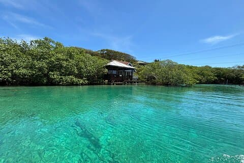 Aventure de plongée avec tuba et tunnels de mangroves à l'est de Roatan