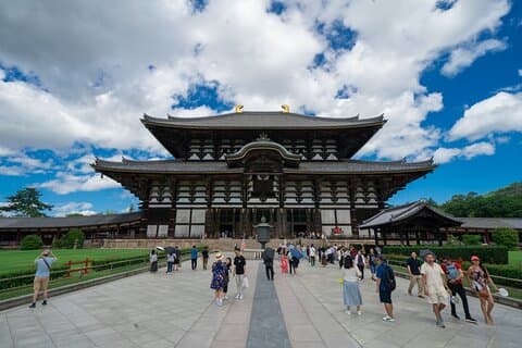 Explore Nara in a Day Van Tour