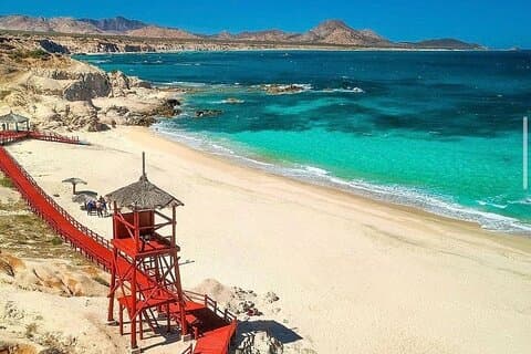 Privat guidet snorkling opplevelse i Cabo Pulmo
