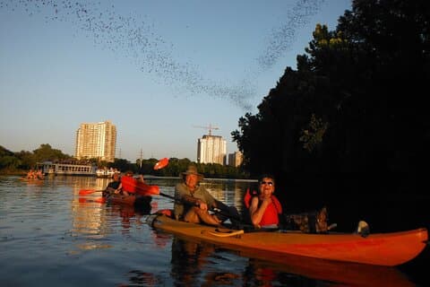 Escursione serale in kayak per osservare i pipistrelli