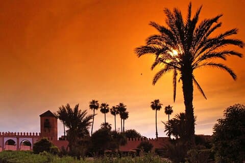 Passeio de camelo ao pôr do sol em Marrakech Palmeraie